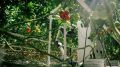 Новый робот для сбора томатов Harvester шагнул на рынок технологий